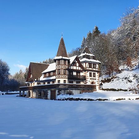 Le Saint Moulin De La Petite Pierre Villa Lohr Екстериор снимка
