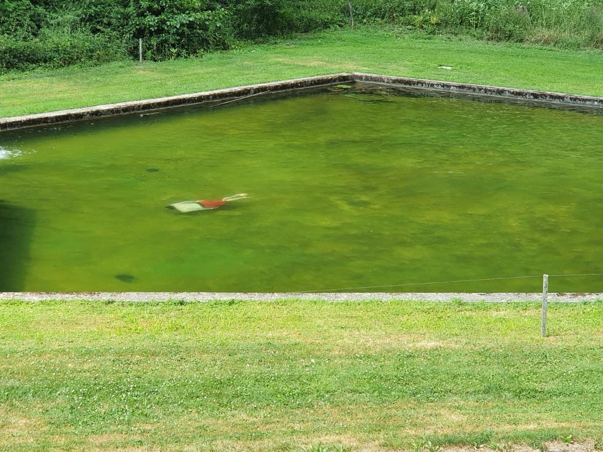Le Saint Moulin De La Petite Pierre Villa Lohr Екстериор снимка