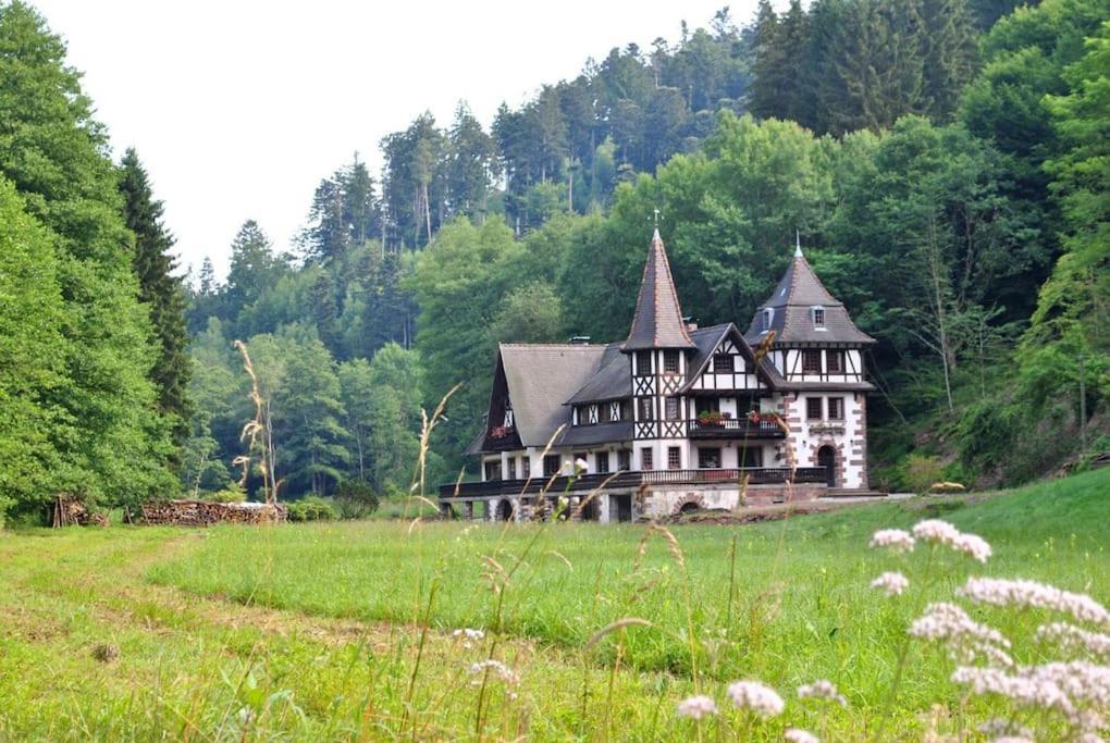 Le Saint Moulin De La Petite Pierre Villa Lohr Екстериор снимка