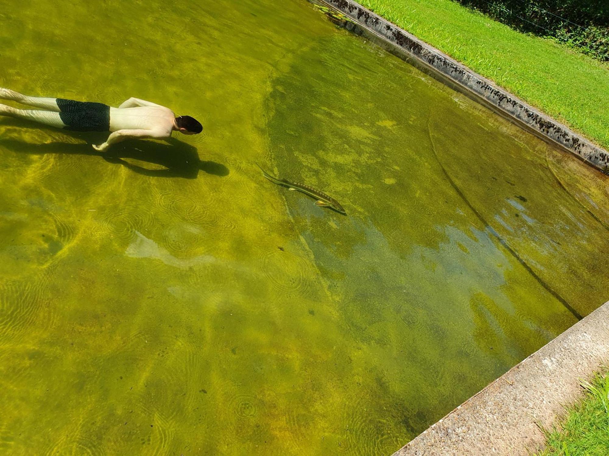 Le Saint Moulin De La Petite Pierre Villa Lohr Екстериор снимка